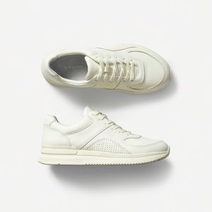 *Never Worn Before* Everlane The Trainer Sneaker